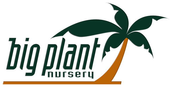 Big Plant Nursery